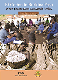 Bt Cotton in Burkina Faso: When Theory Does Not Match Reality